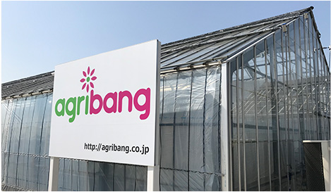 agribangビニールハウスの写真